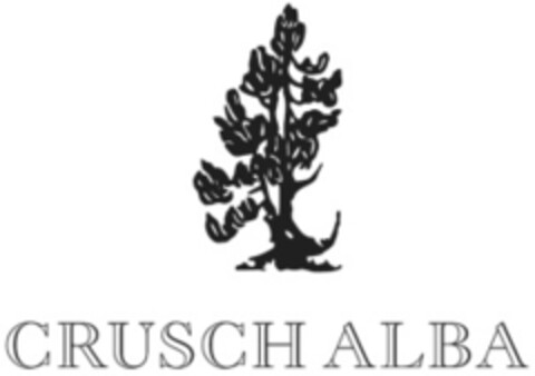 CRUSCH ALBA Logo (IGE, 02/08/2021)