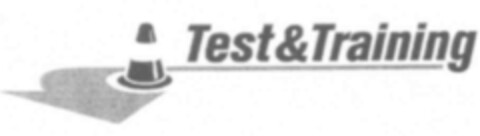 Test & Training Logo (IGE, 31.12.2003)