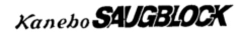 Kanebo SAUGBLOCK Logo (IGE, 11/07/1991)