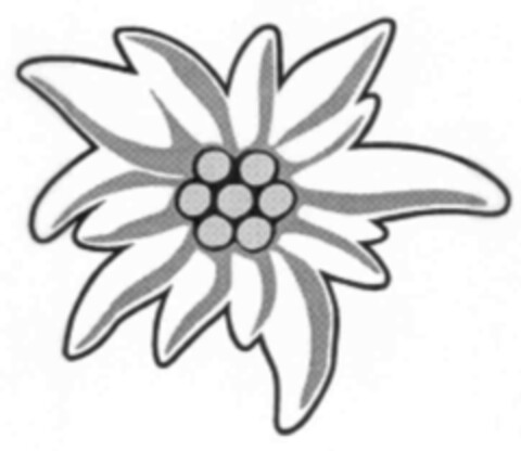  Logo (IGE, 09/13/1999)