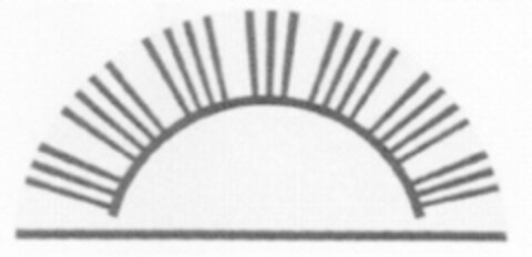  Logo (IGE, 31.07.2007)