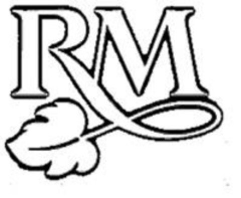 RM Logo (IGE, 03/28/2013)