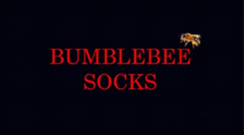 Bumblebee Socks Logo (IGE, 10.12.2019)