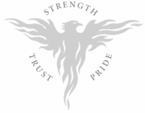 STRENGTH TRUST PRIDE Logo (IGE, 03/18/2008)