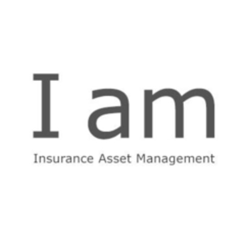 I am Insurance Asset Management Logo (IGE, 28.10.2003)