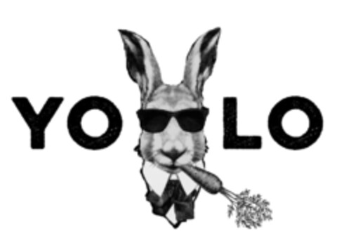 YO LO Logo (IGE, 25.05.2018)