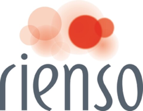 rienso Logo (IGE, 27.09.2011)