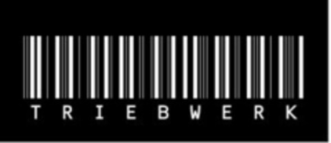 TRIEBWERK Logo (IGE, 10/17/2012)