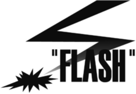 FLASH Logo (IGE, 13.03.2015)