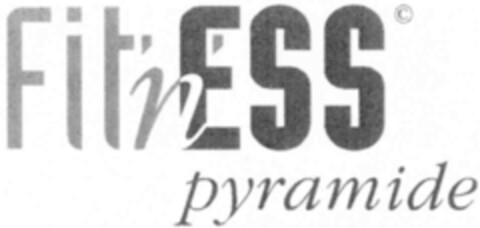 FitnESS pyramide Logo (IGE, 30.04.2004)