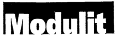 Modulit Logo (IGE, 01.04.2003)