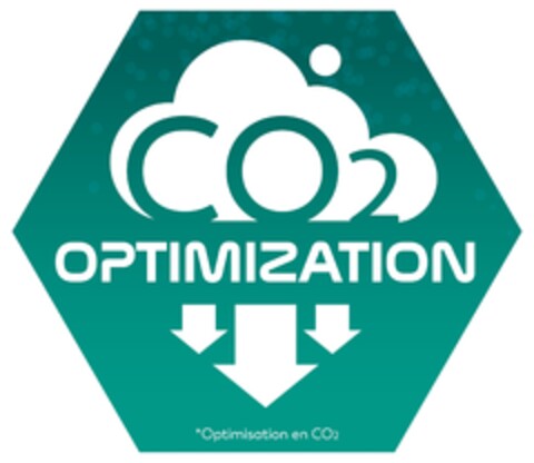 CO2 OPTIMIZATION Optimisation en CO2 Logo (IGE, 04/06/2023)