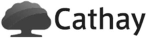 Cathay Logo (IGE, 01/08/2016)