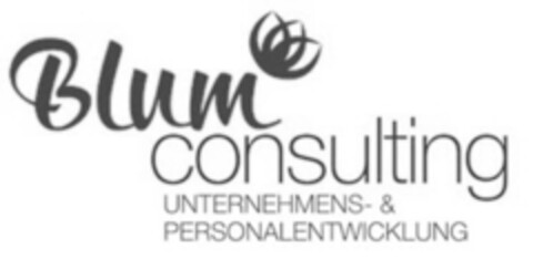 Blum consulting UNTERNEHMENS- & PERSONALENTWICKLUNG Logo (IGE, 03/23/2015)