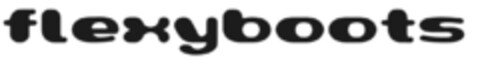 flexyboots Logo (IGE, 11/10/2008)