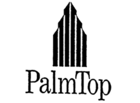 PalmTop Logo (IGE, 24.04.1990)