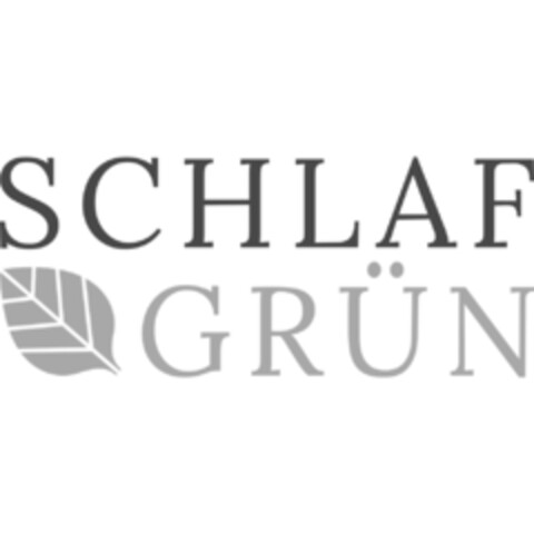 SCHLAF GRÜN Logo (IGE, 03/08/2019)