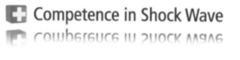 Competence in Shock Wave Logo (IGE, 05/27/2008)