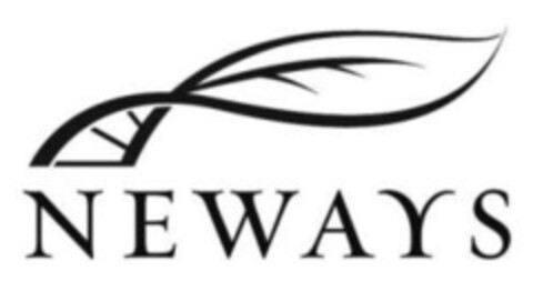 NEWAYS Logo (IGE, 20.07.2010)