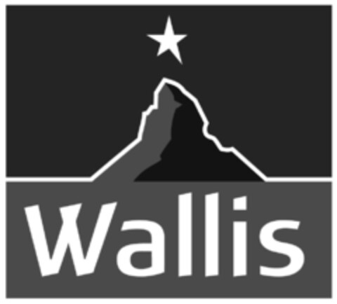 Wallis Logo (IGE, 31.08.2009)