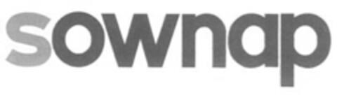 sownap Logo (IGE, 11/27/2014)