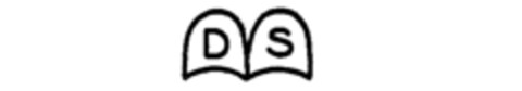 DS Logo (IGE, 01/22/1991)