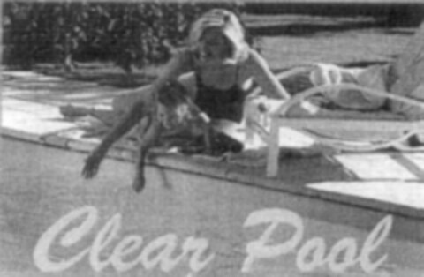 Clear Pool Logo (IGE, 20.03.2002)