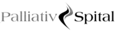 Palliativ Spital Logo (IGE, 09.01.2006)