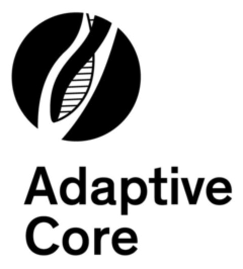 Adaptive Core ((fig)) Logo (IGE, 06.07.2018)