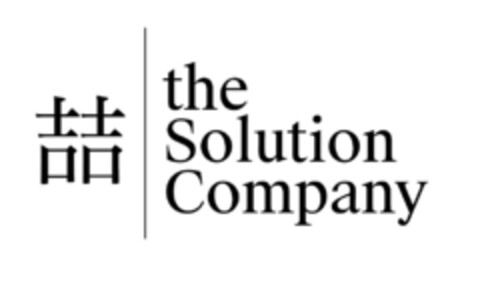 the Solution Company Logo (IGE, 12.12.2016)