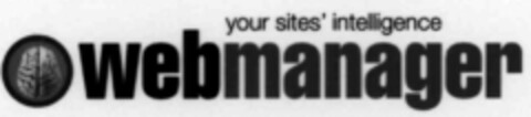 your sites' intelligence webmanager Logo (IGE, 14.01.2000)