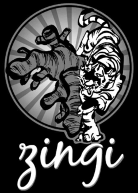 zingi Logo (IGE, 16.04.2021)