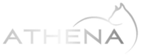 ATHENA Logo (IGE, 04.04.2011)