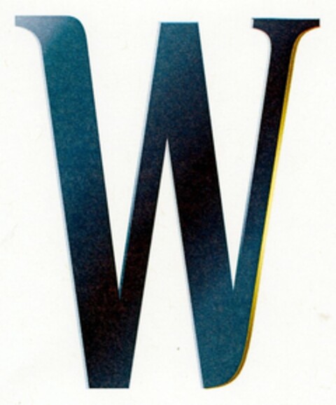 W Logo (IGE, 11/28/2007)