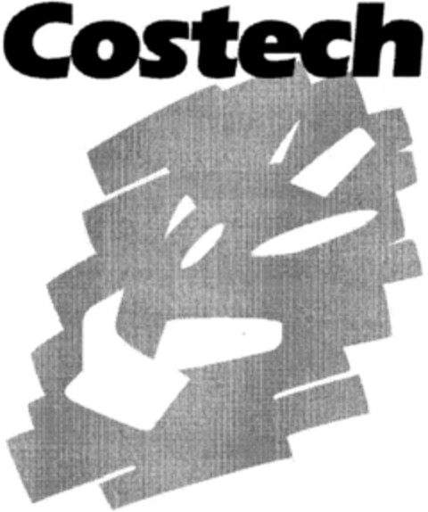 Costech Logo (IGE, 26.02.1999)