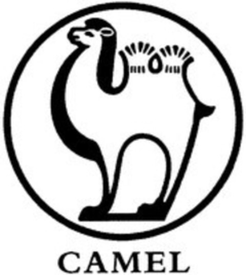 CAMEL Logo (IGE, 06.06.2019)