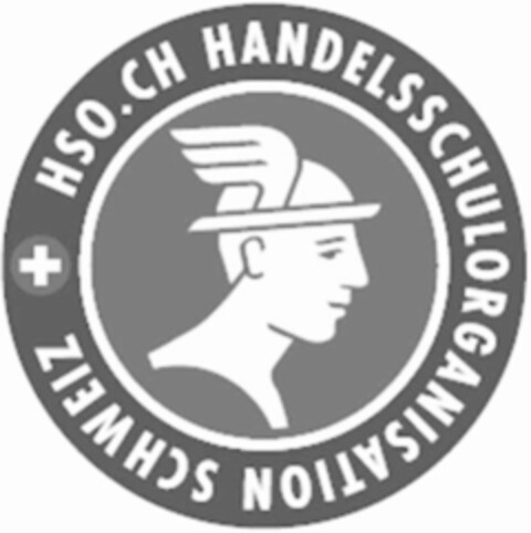 HSO.CH HANDELSSCHULORGANISATION SCHWEIZ Logo (IGE, 08.02.2007)