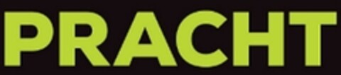 PRACHT Logo (IGE, 04/02/2013)
