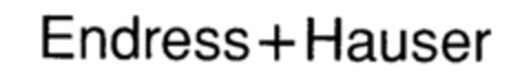 Endress+Hauser Logo (IGE, 10/27/1994)