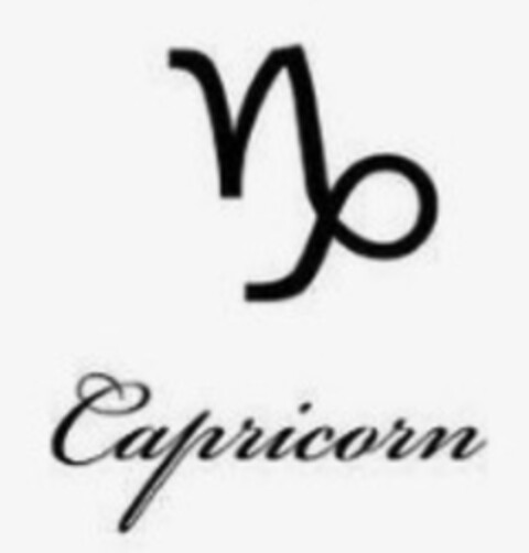 Capricorn Logo (IGE, 07.07.2020)