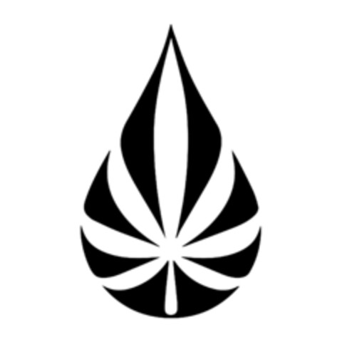  Logo (IGE, 10/27/2020)