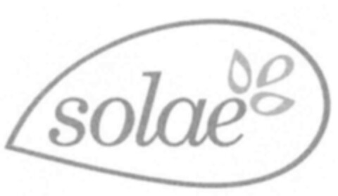 solae Logo (IGE, 16.02.2004)