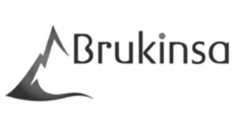 Brukinsa Logo (IGE, 03/20/2019)