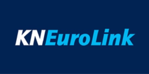 KNEuroLink Logo (IGE, 19.12.2013)