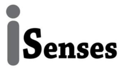 iSenses Logo (IGE, 23.02.2010)