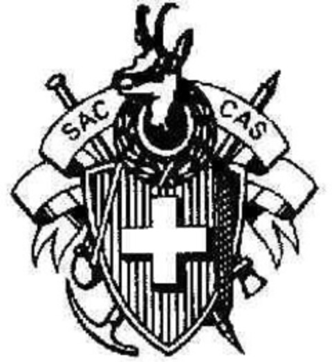 SAC CAS Logo (IGE, 24.11.2005)