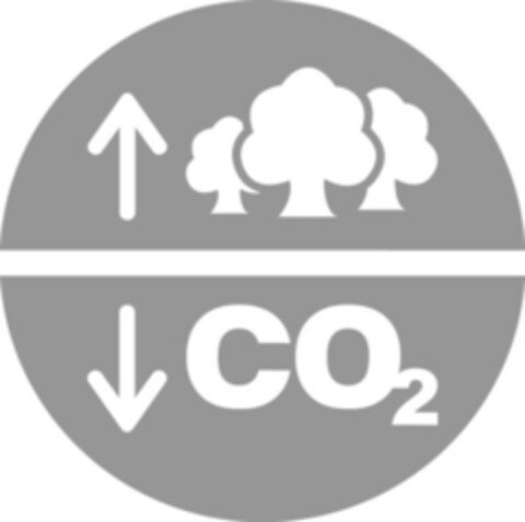CO2 Logo (IGE, 25.06.2007)