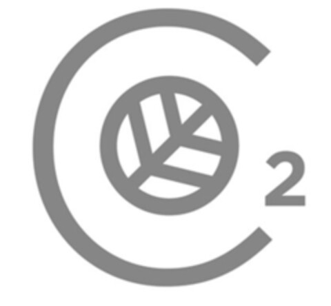 Co2 Logo (IGE, 22.12.2020)