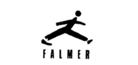FALMER Logo (IGE, 26.02.1988)