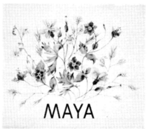 MAYA Logo (IGE, 09/05/1988)